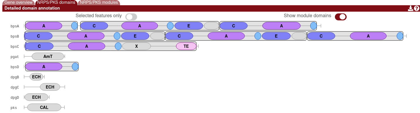 Domain display hiding modules