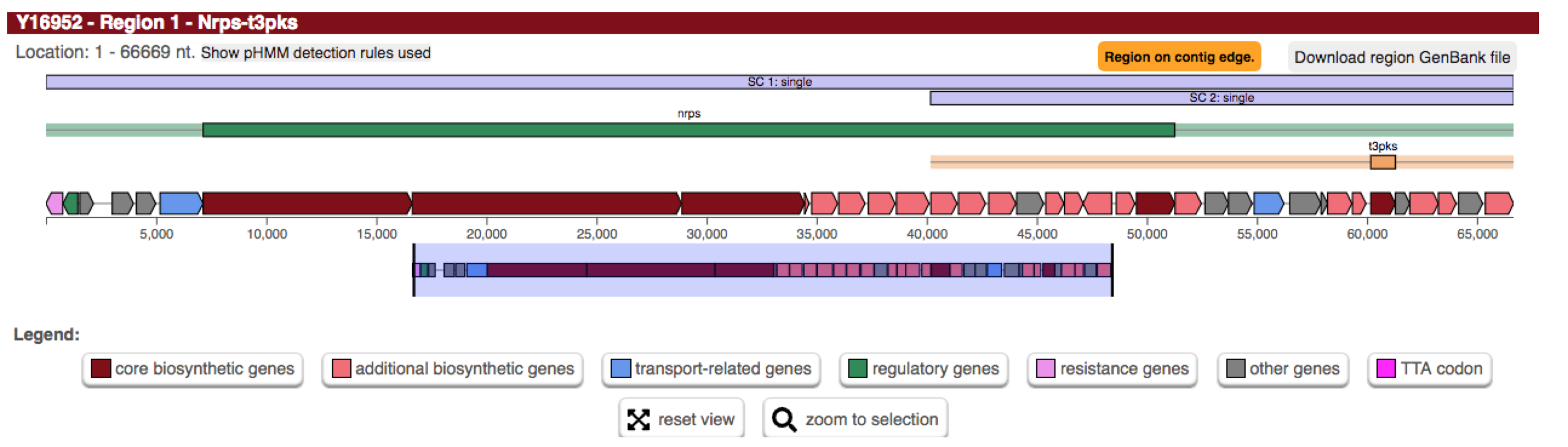 Balhimycin biosynthetic gene cluster