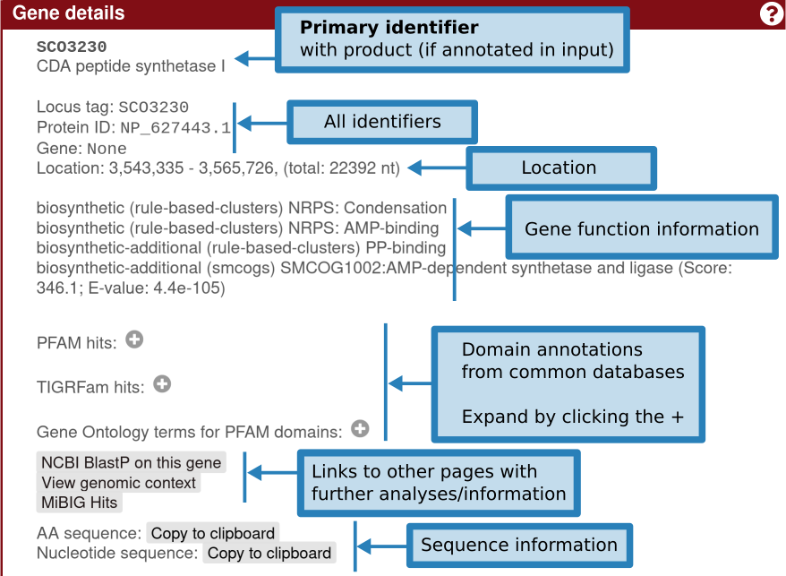 Gene details display