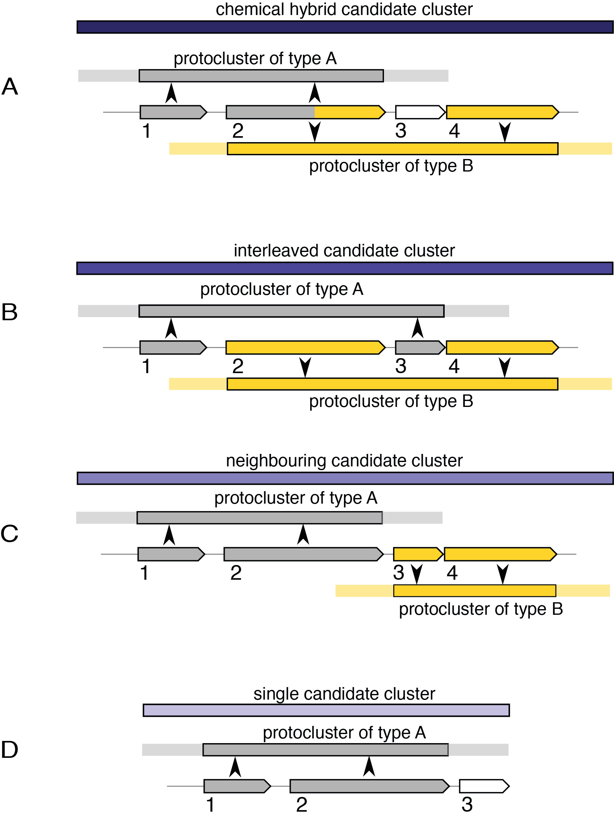 Figure candidate clusters