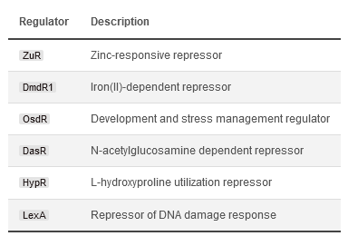 TFBS glossary